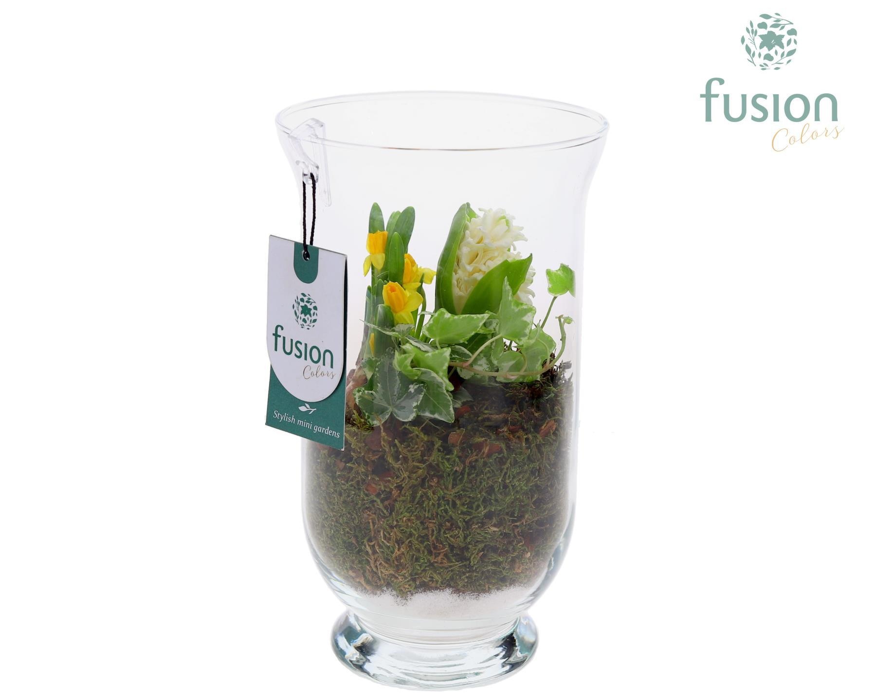 Glas Arizona met Pasen Arrangement, D 15