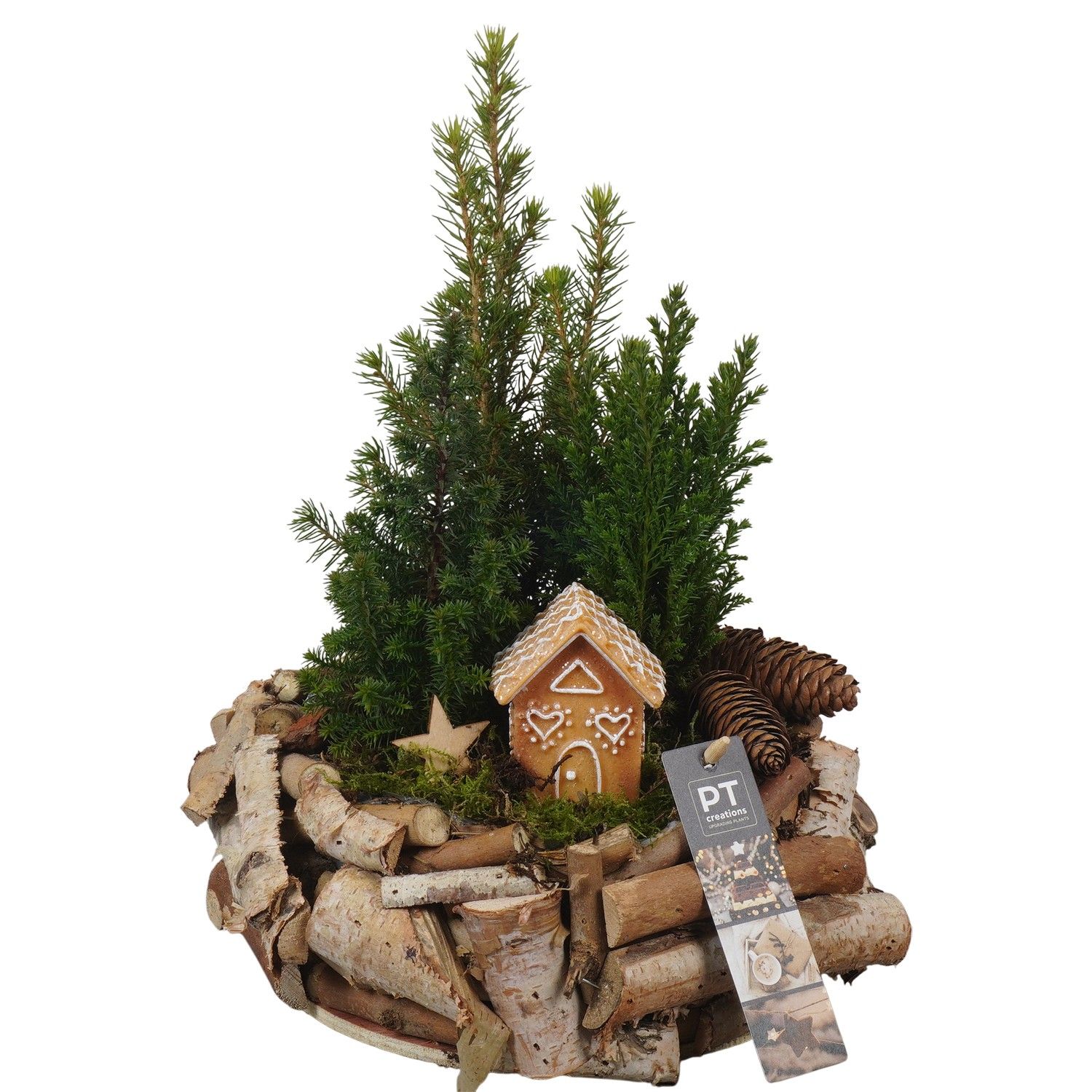 PTCWW6868 Arrangement Winter in houten bak, D 23 cm