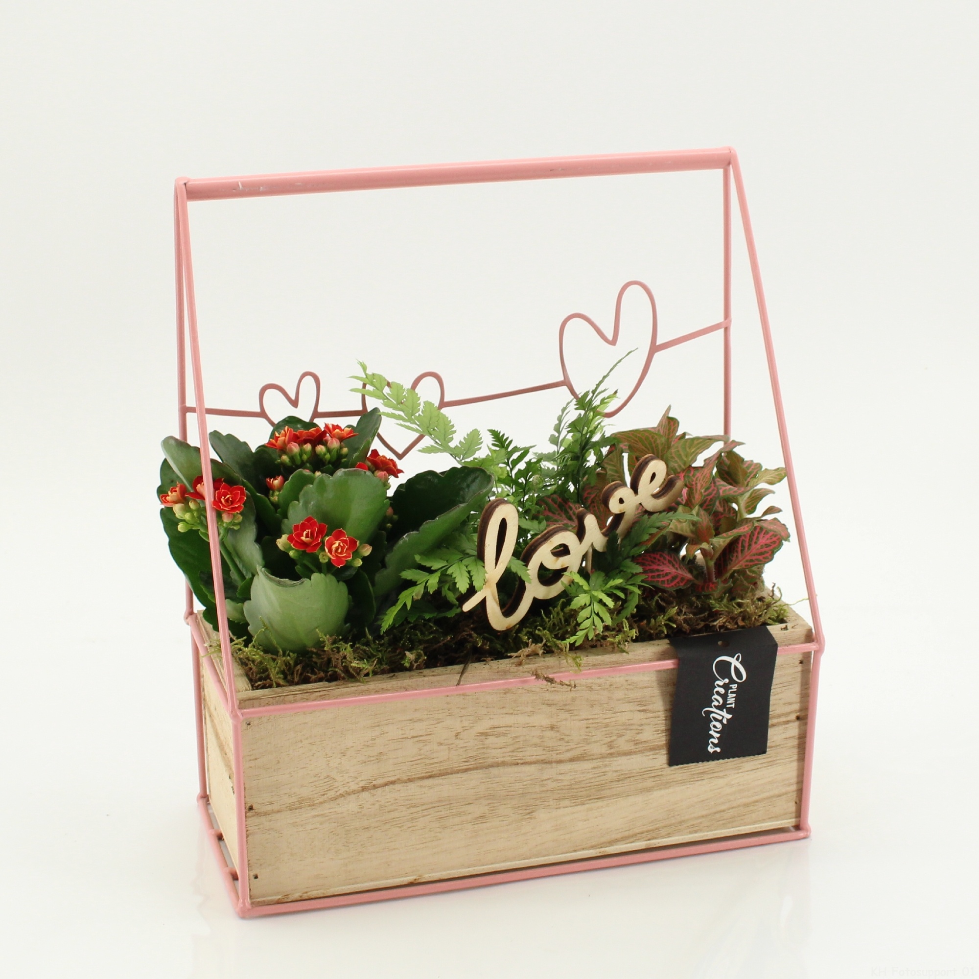 RMCR-2627R Romantic Essentials, D 23