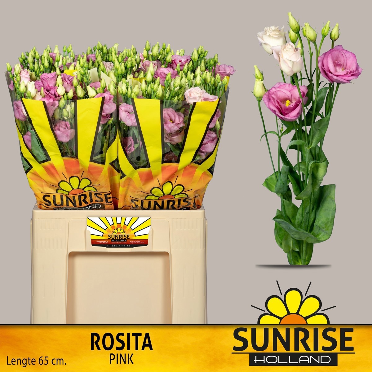 Эустома Розита Роуз пинк 65 (ярко-роз.), шт.