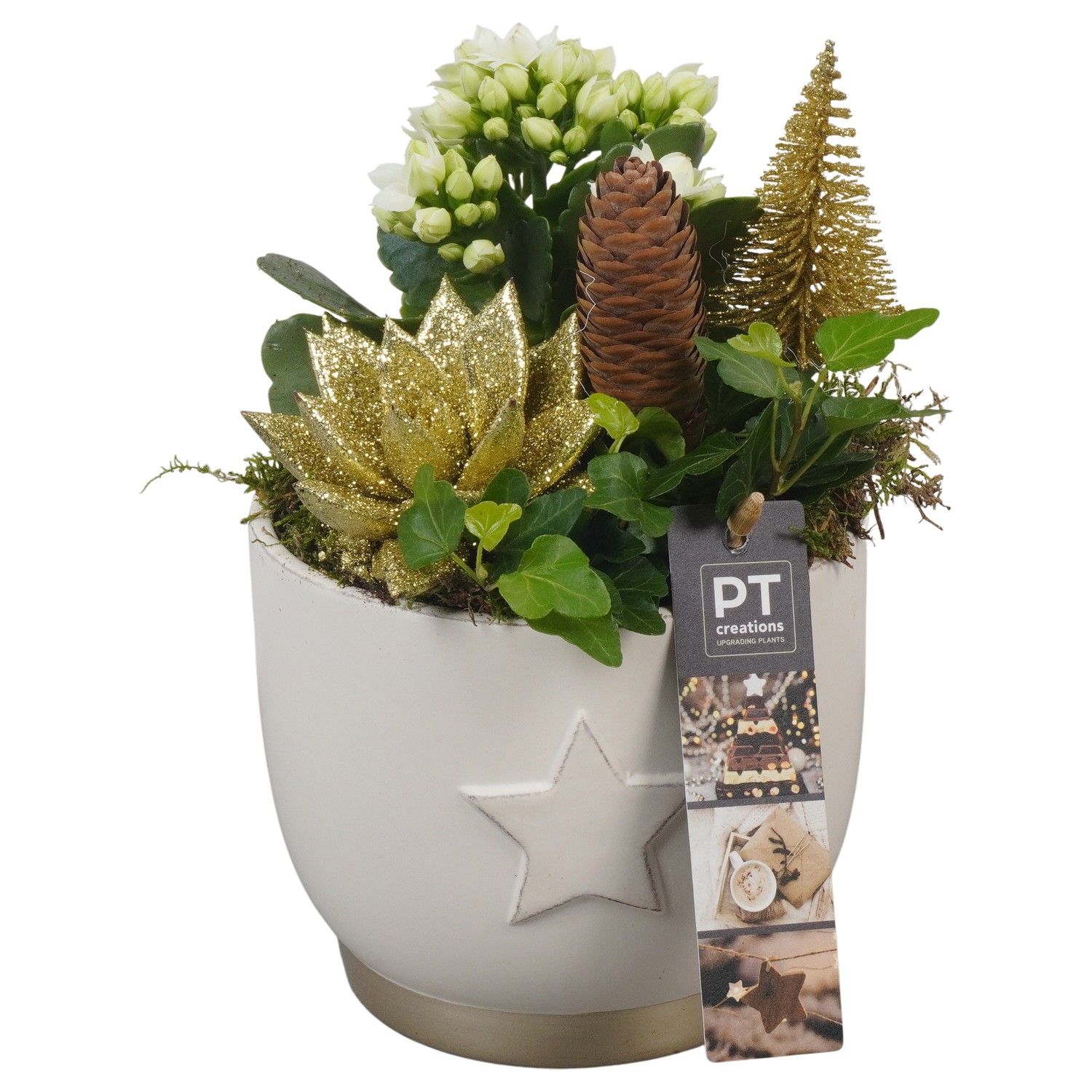 PTCHG5634 Arrangement Christmas Gold in keramiek pot, D 13 cm