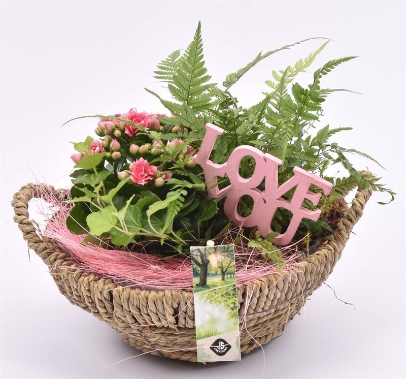 Touw schaal br. 23cm, D 23