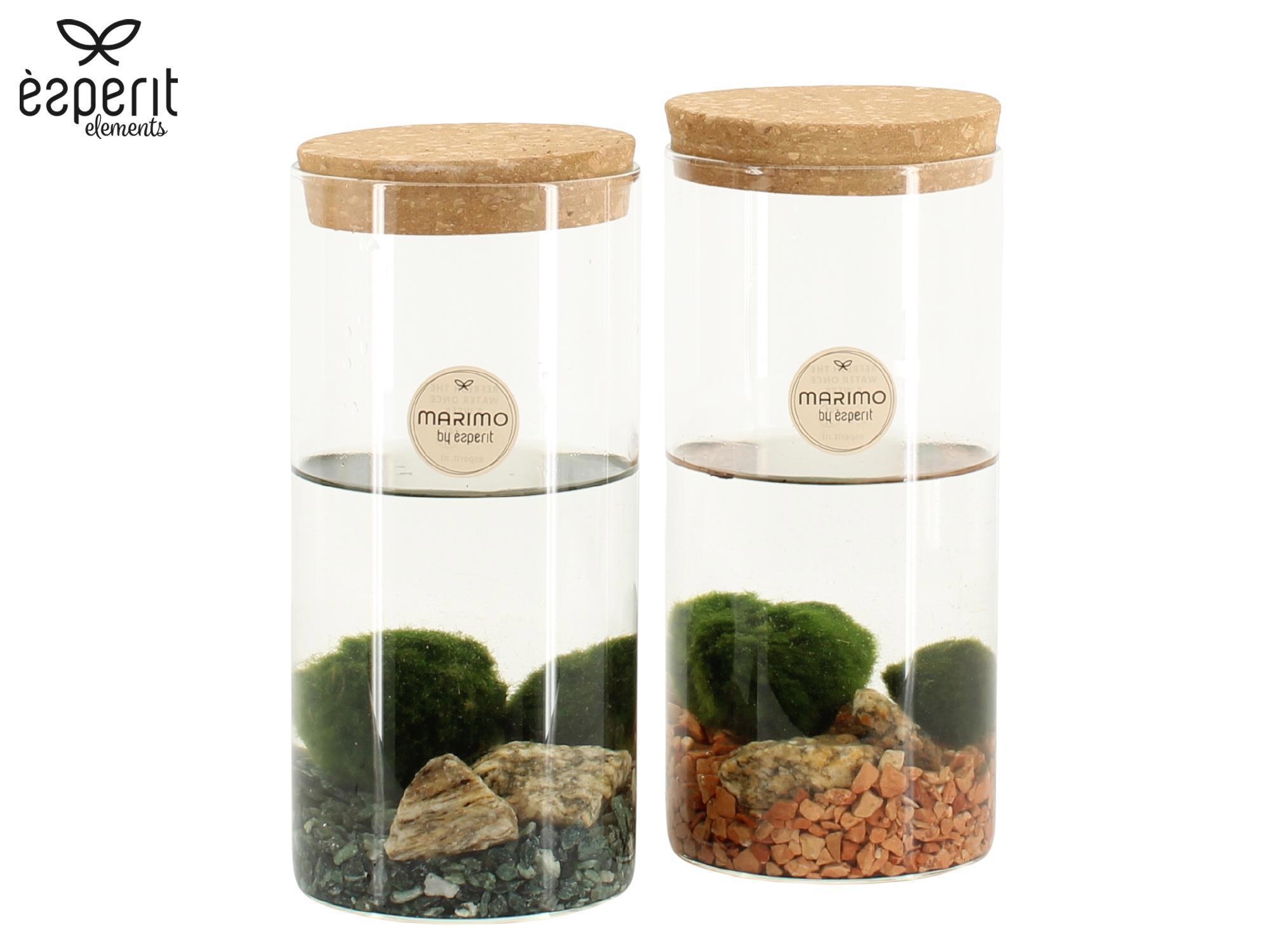 90723: Marimo arrangement, D 9
