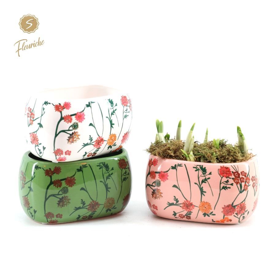 (2601) Narcissus Early Springtime Oval 2PP Mos, D 17 cm