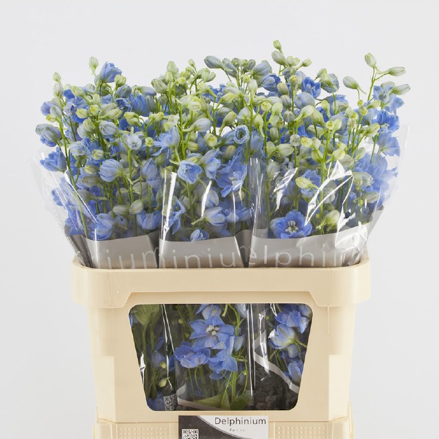 Дельфиниум дв. Центурион Скайблю 80, шт.