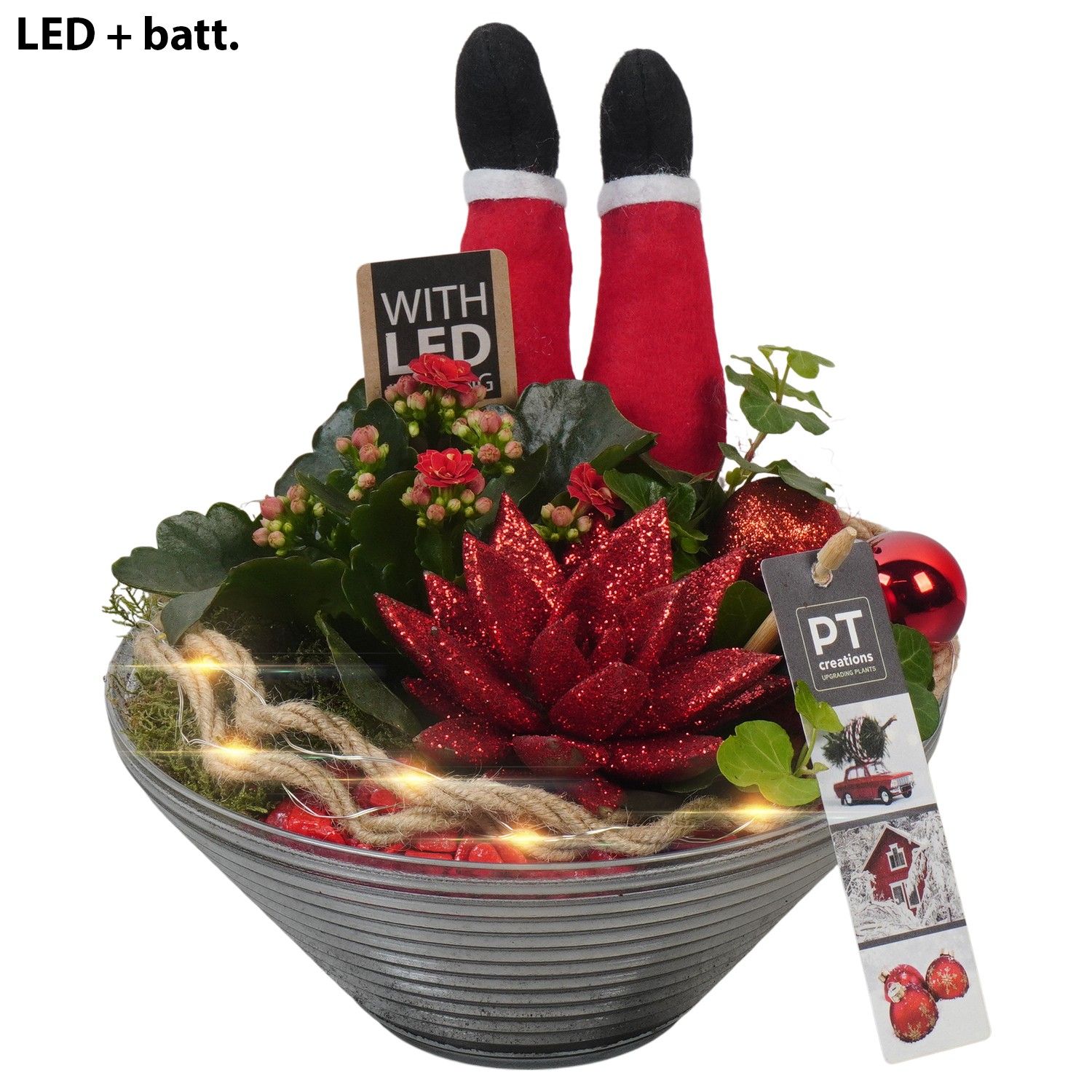 PTCHR7417 Arrangement Christmas Red in glas schaal, D 19 cm