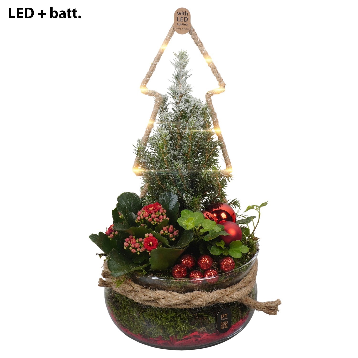 PTCHR9510 Arrangement Christmas Red in glas schaal, D 19