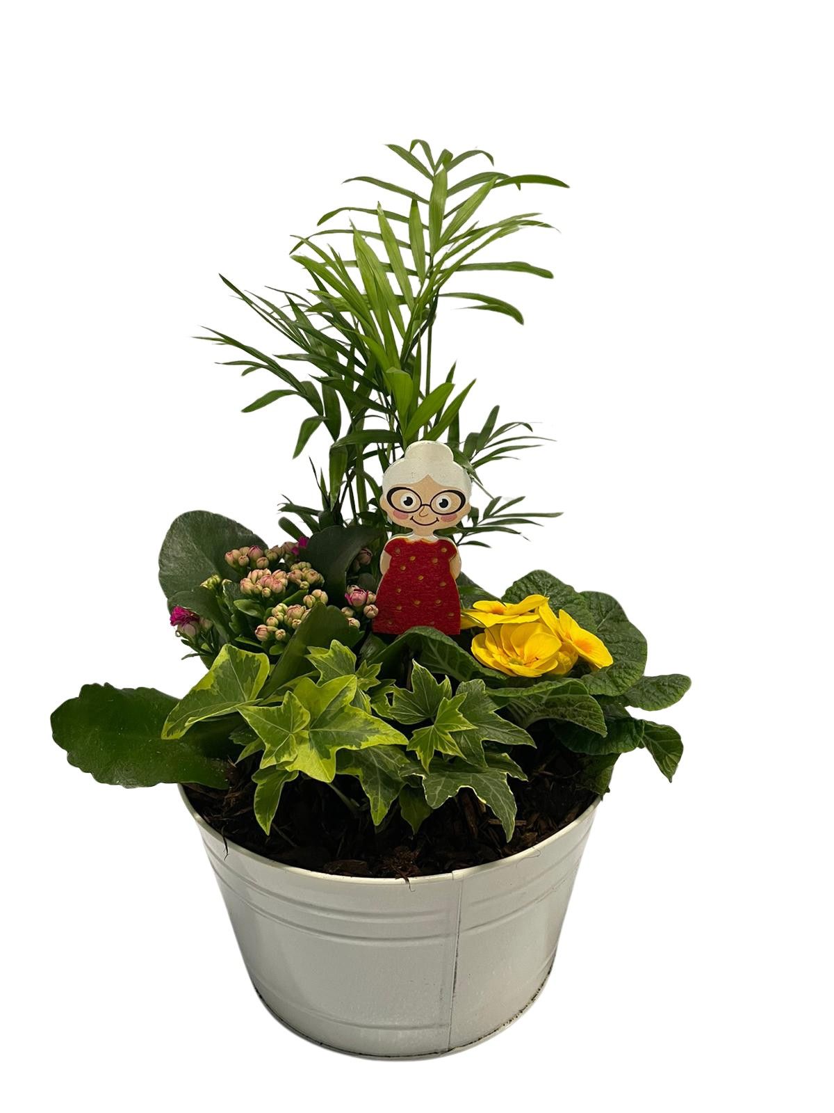 Buitenschaal arrangement GM5 Zink WIt, D 23