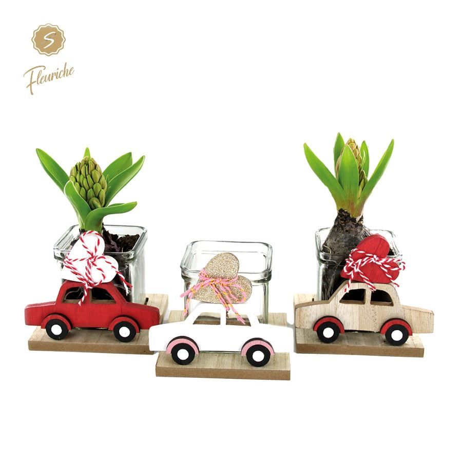 (1923) Hyacint I Pick You Up 1PP, D 12 cm