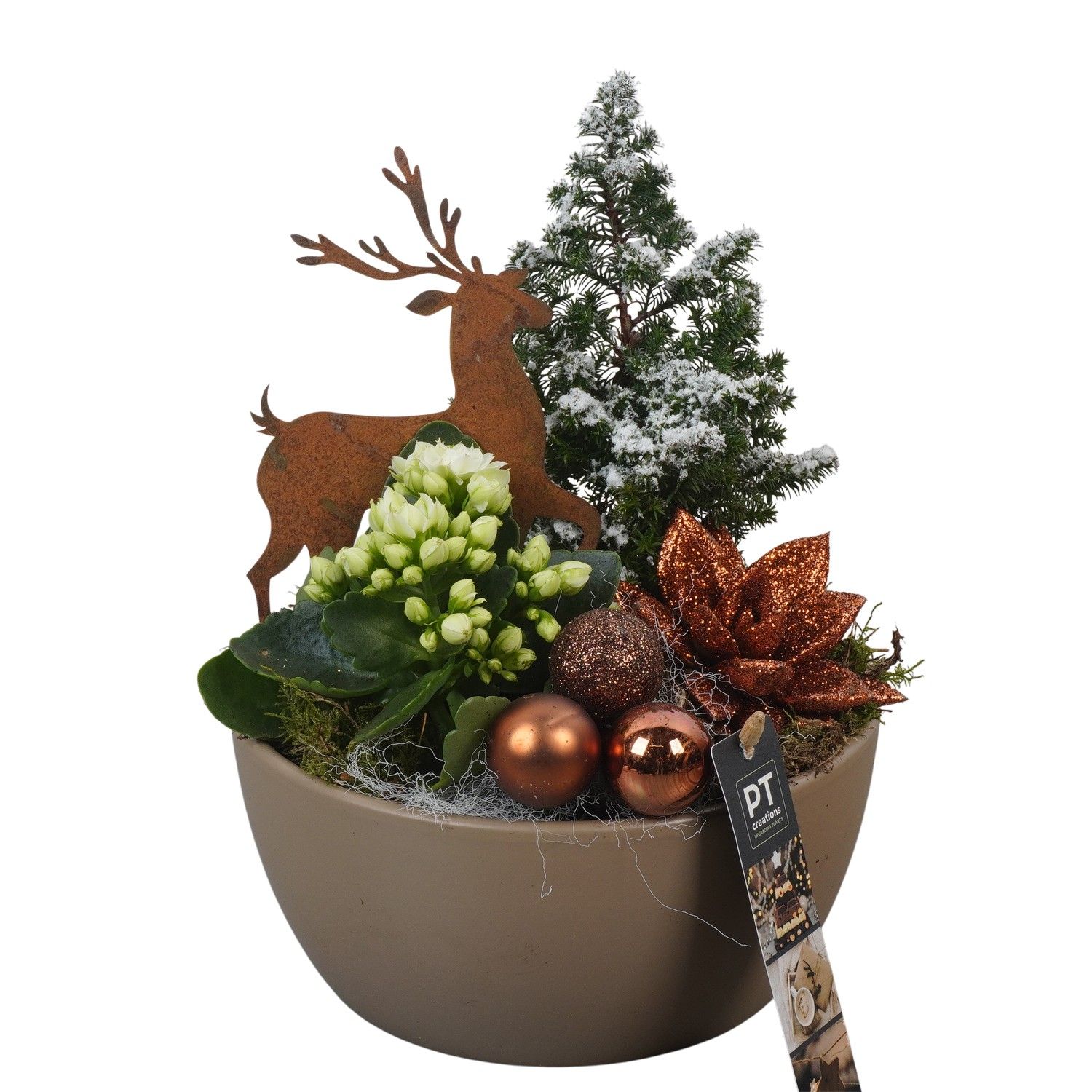 PTCHB9731 Arrangement Christmas Bronze in keramiek schaal, D 18 cm