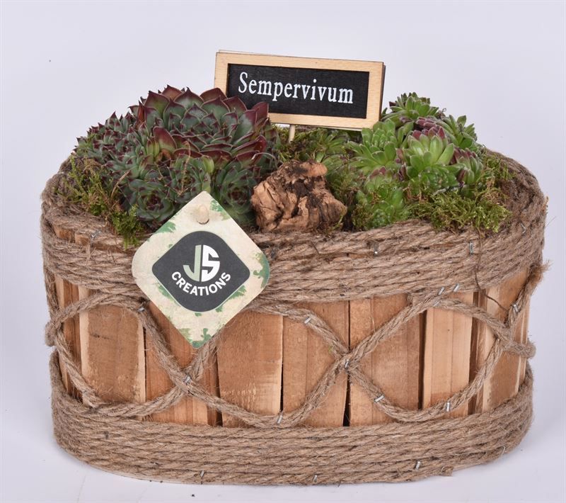 Hout ovaal met touw 21x11.5cm, D 21