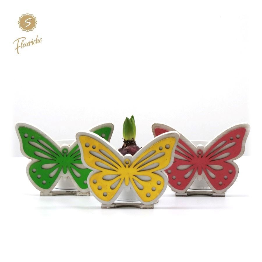 (DN516) Hyacint Butterfly Triple, D 19