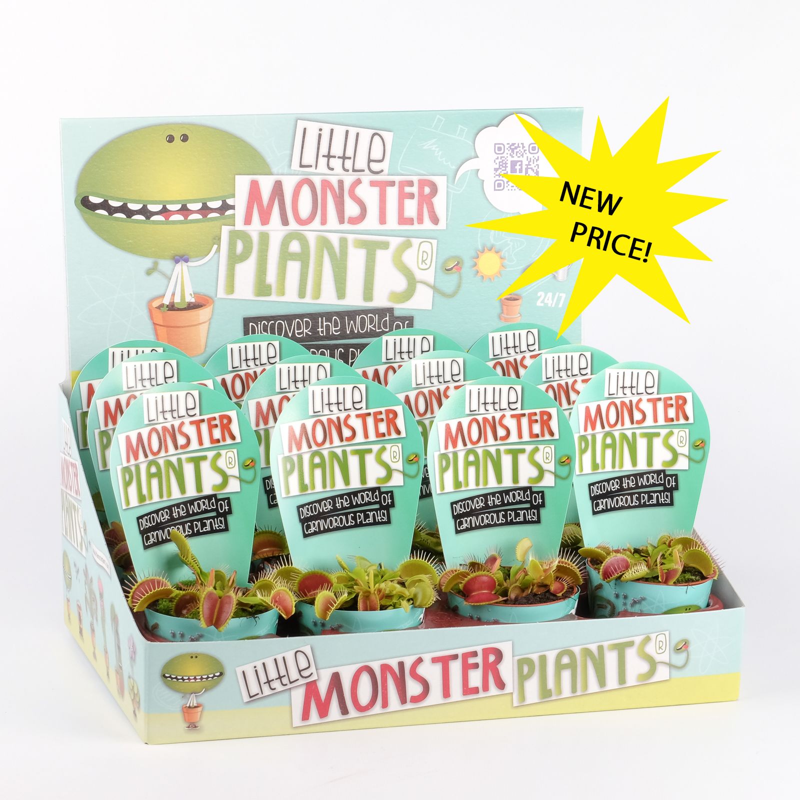 Little Monster Plants Dionaea in Displaydoos, D 8,5