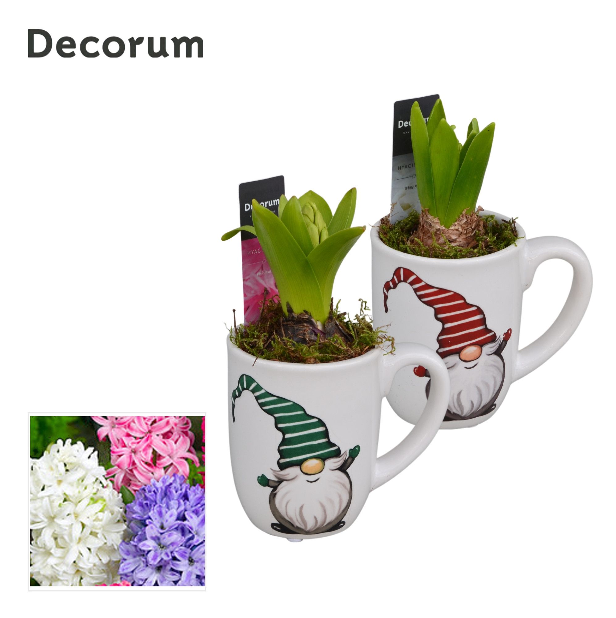 Hyacint Mok Gnoom HL13092 [PURE], D 8