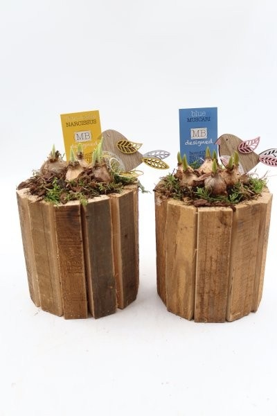 Bollen, houten ton hoog S bruin; mix, D 13