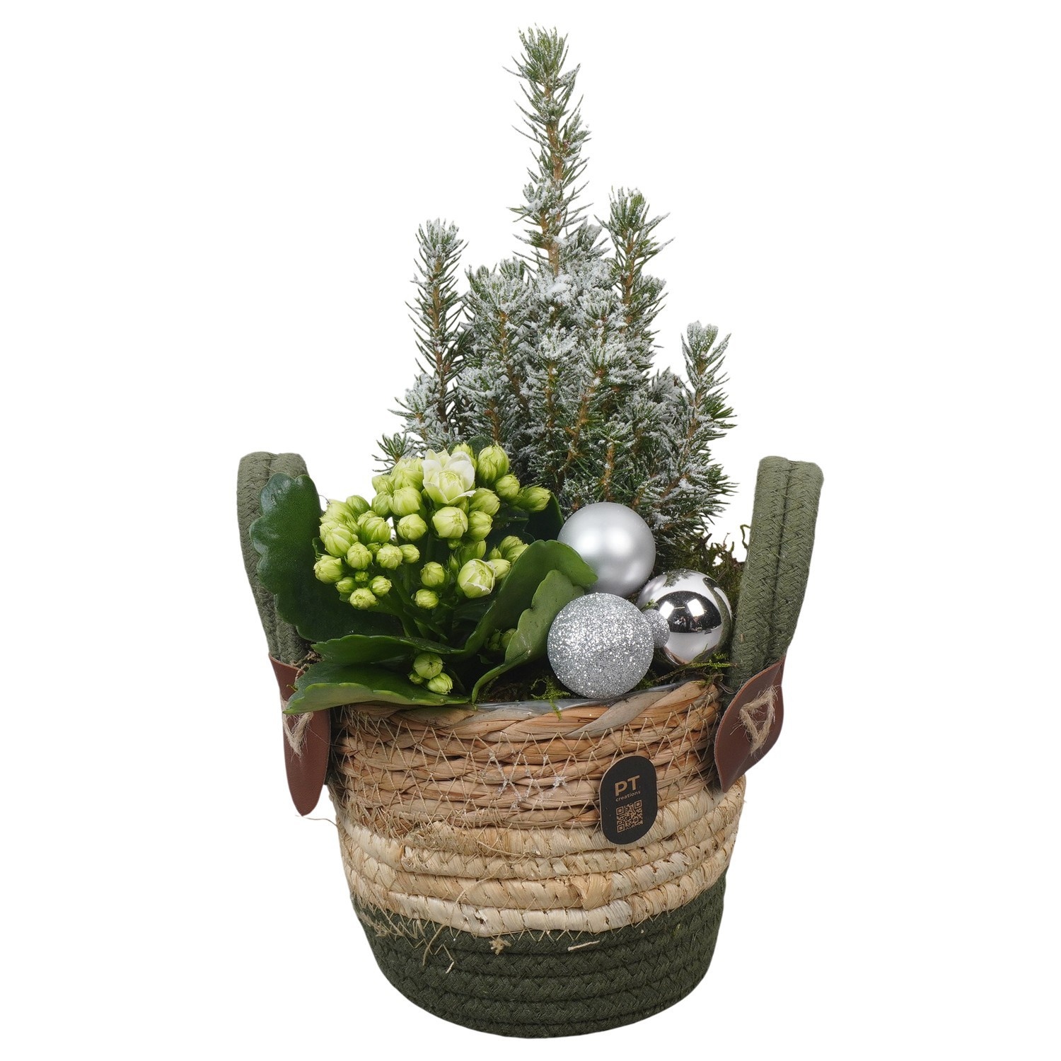 PTCHW7940 Arrangement Christmas White in rieten mand, D 14