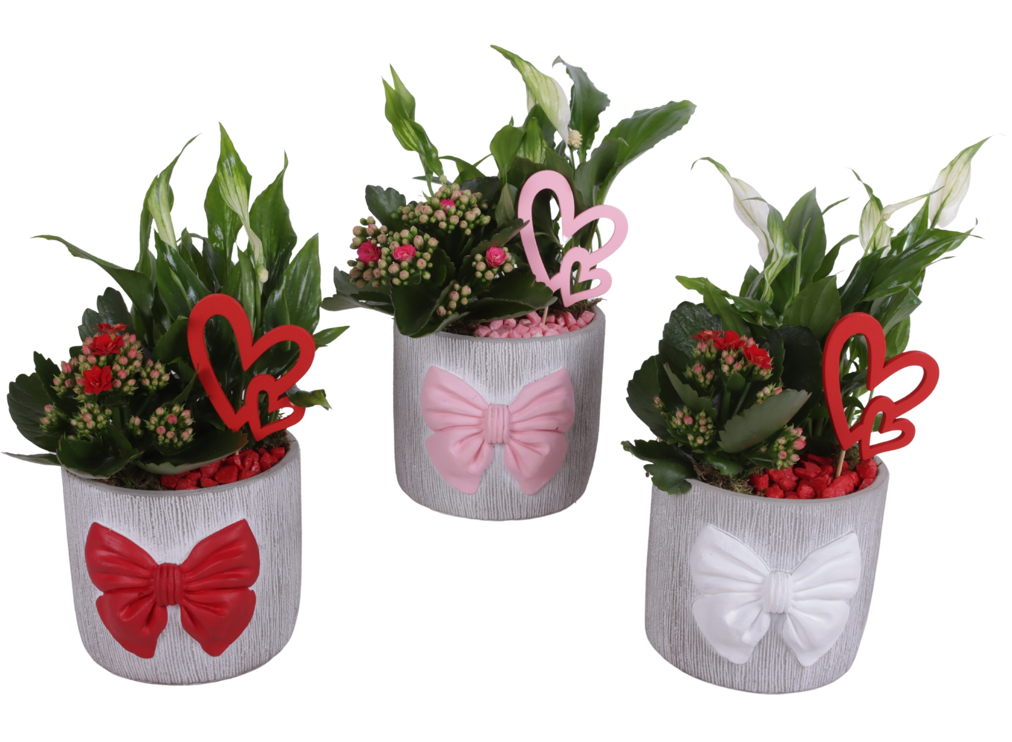 Valentine Arr. Indoor Ceramic Pot with Bow 3 Color Mix Ø15cm 2PP, D 15