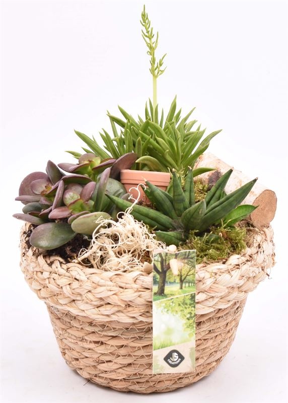 Jute mand met rand 18cm, D 18