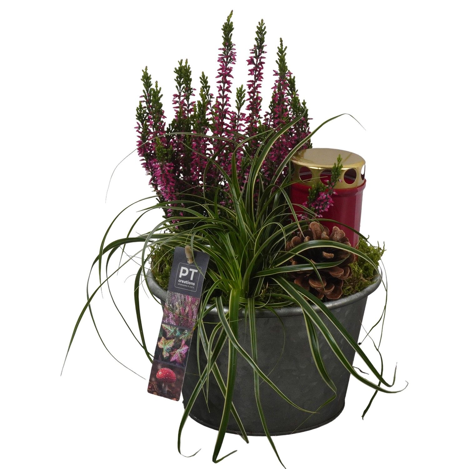 PTAH8683 Arrangement Allerheiligen in metalen pot, D 19 cm PTAH8683 Arrangement Allerheiligen in metalen pot, D 19 cm