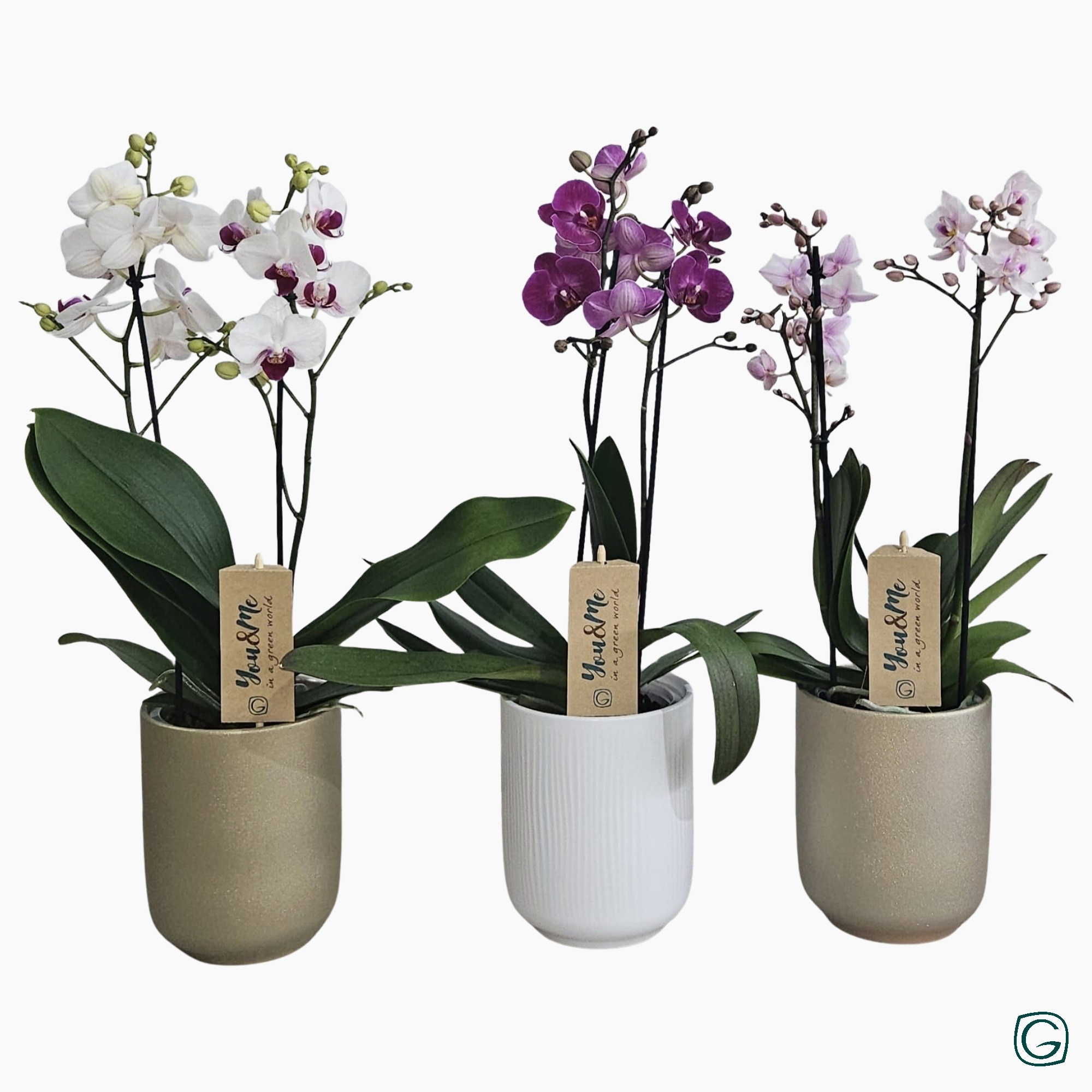 Multi 2tk mix in 3 colors ceramic, D 12 cm