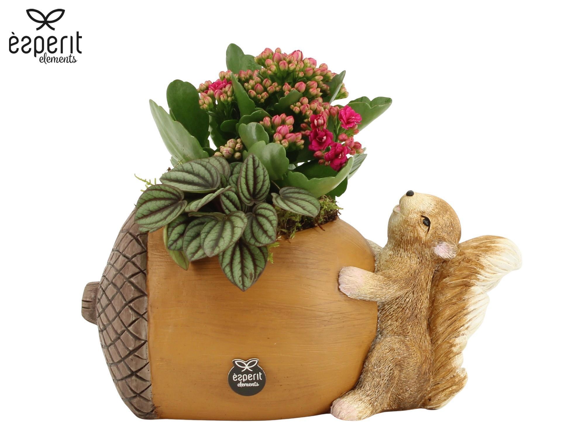 41769: Recreate arrangement, D 15