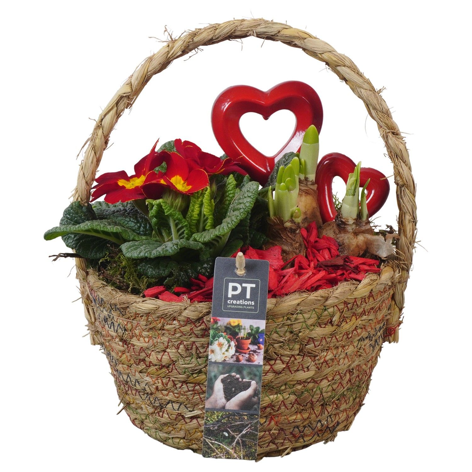PTVO3633 Arrangement Valentine Outdoor in rieten mand, D 18