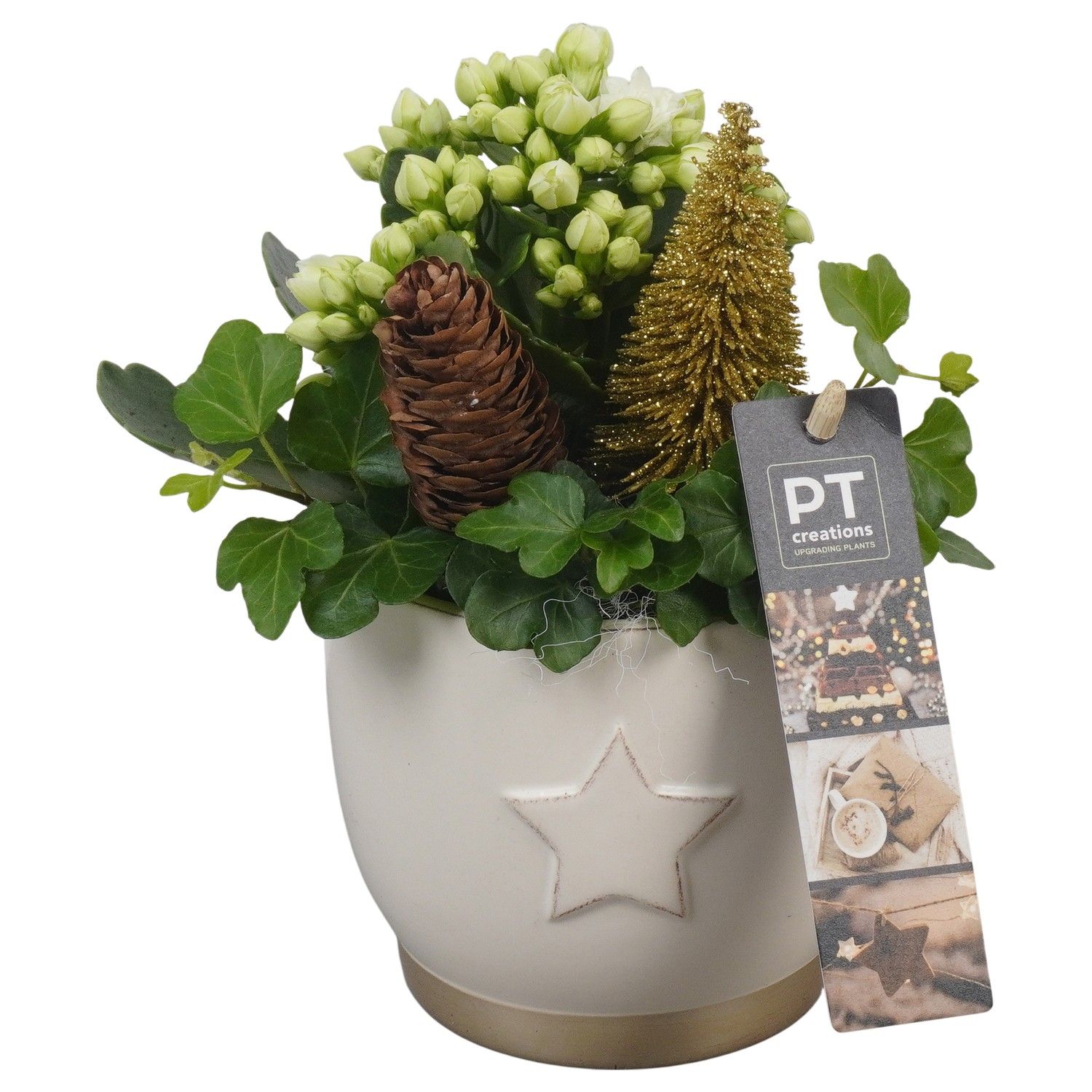 PTCHG5632 Arrangement Christmas Gold in keramiek pot, D 11 cm