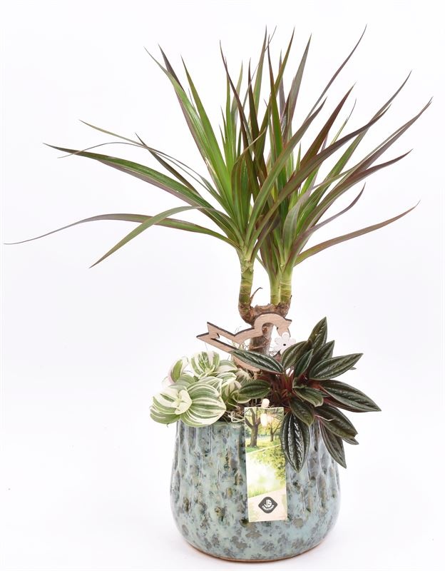 Keramiek pot gr/bl 14/16cm, D 16