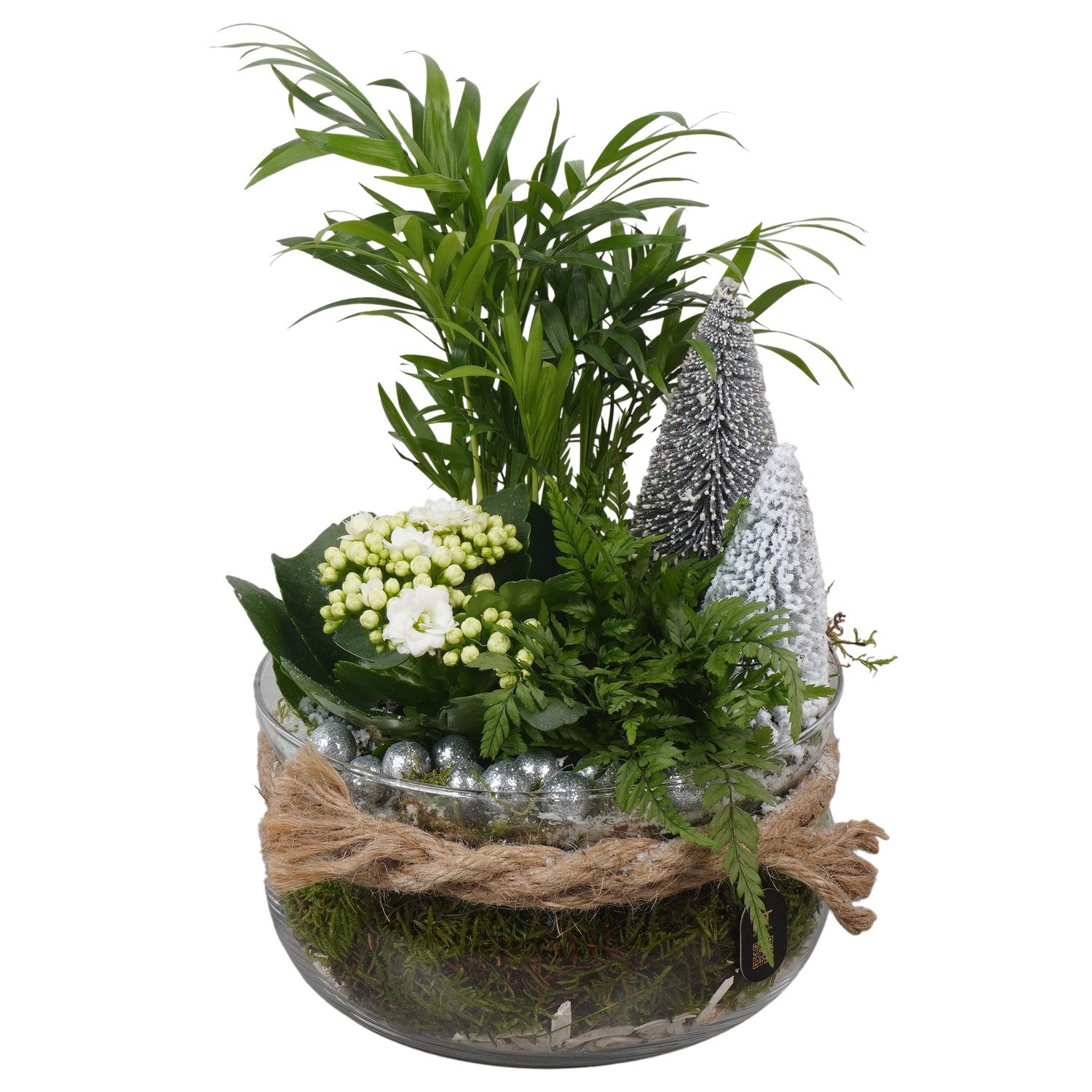 PTCHW7909 Arrangement Christmas White in glas schaal, D 19