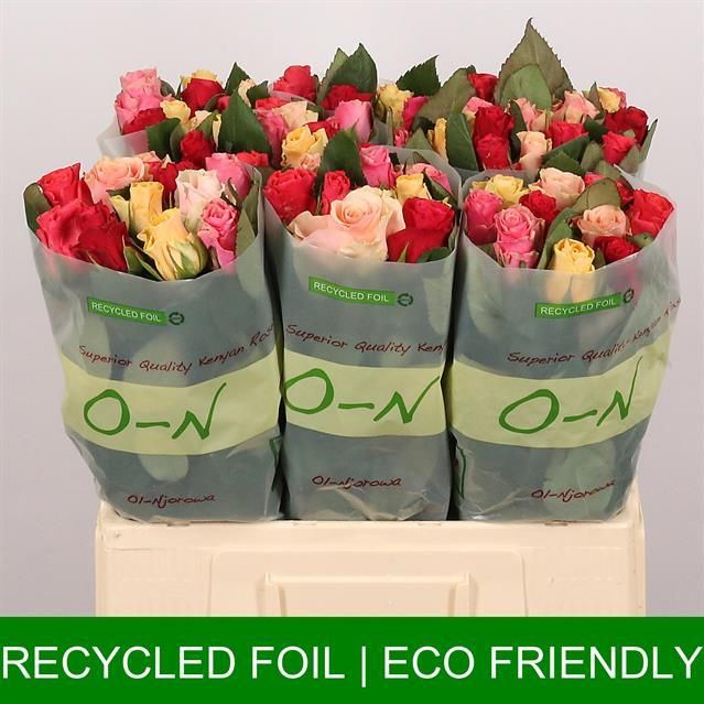 Роза од. Такази Микс 60, шт.