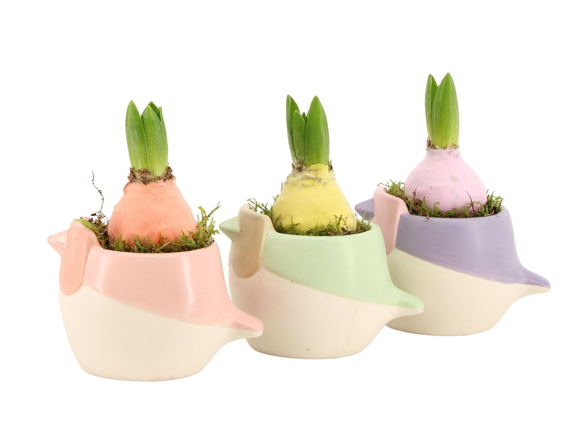 11650: Outdoor spring arrangement, D 9