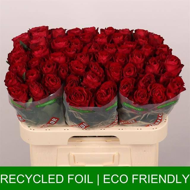 Роза од. Мадам Рэд 60, шт.
