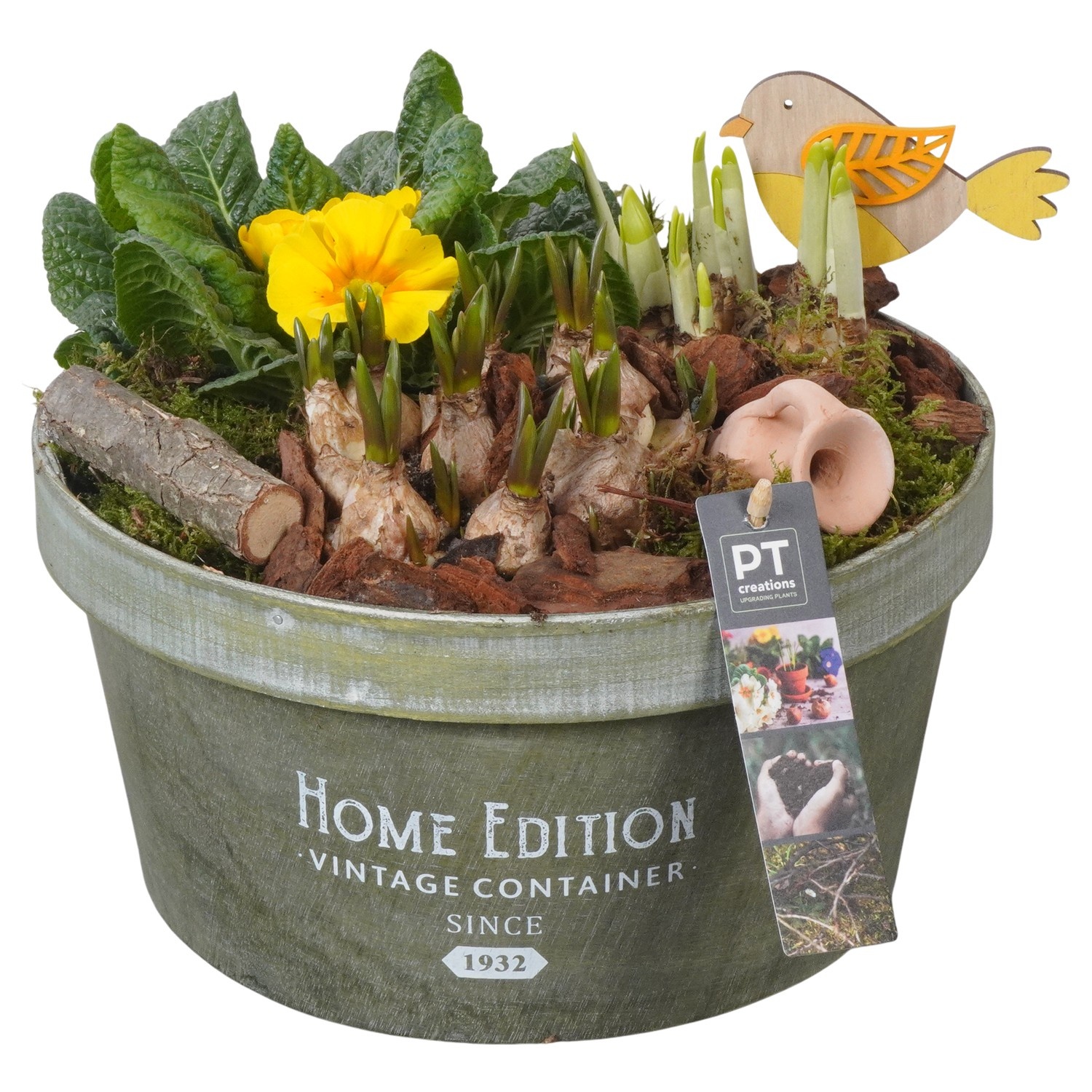 PTBM3926 Arrangement Flower Bulbs Mix in houten pot, D 25