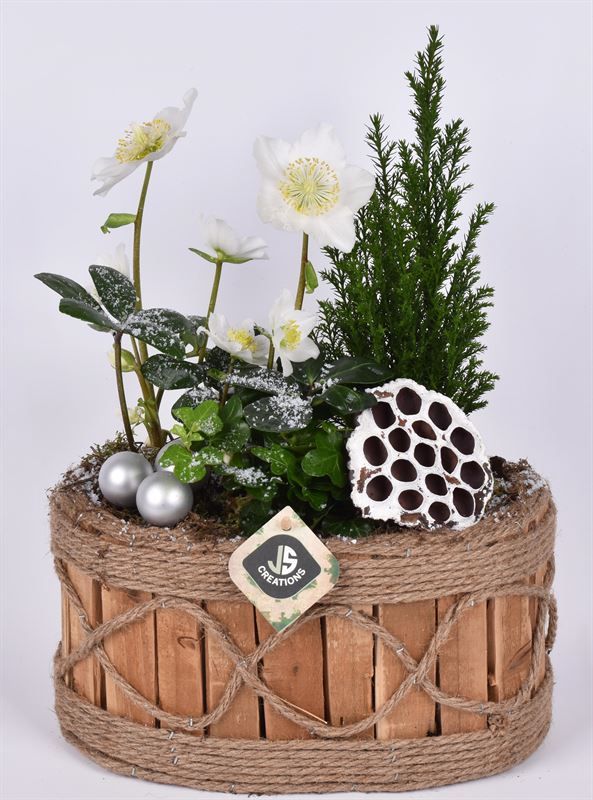 Hout ovaal touw decor 26x16cm, D 26 cm