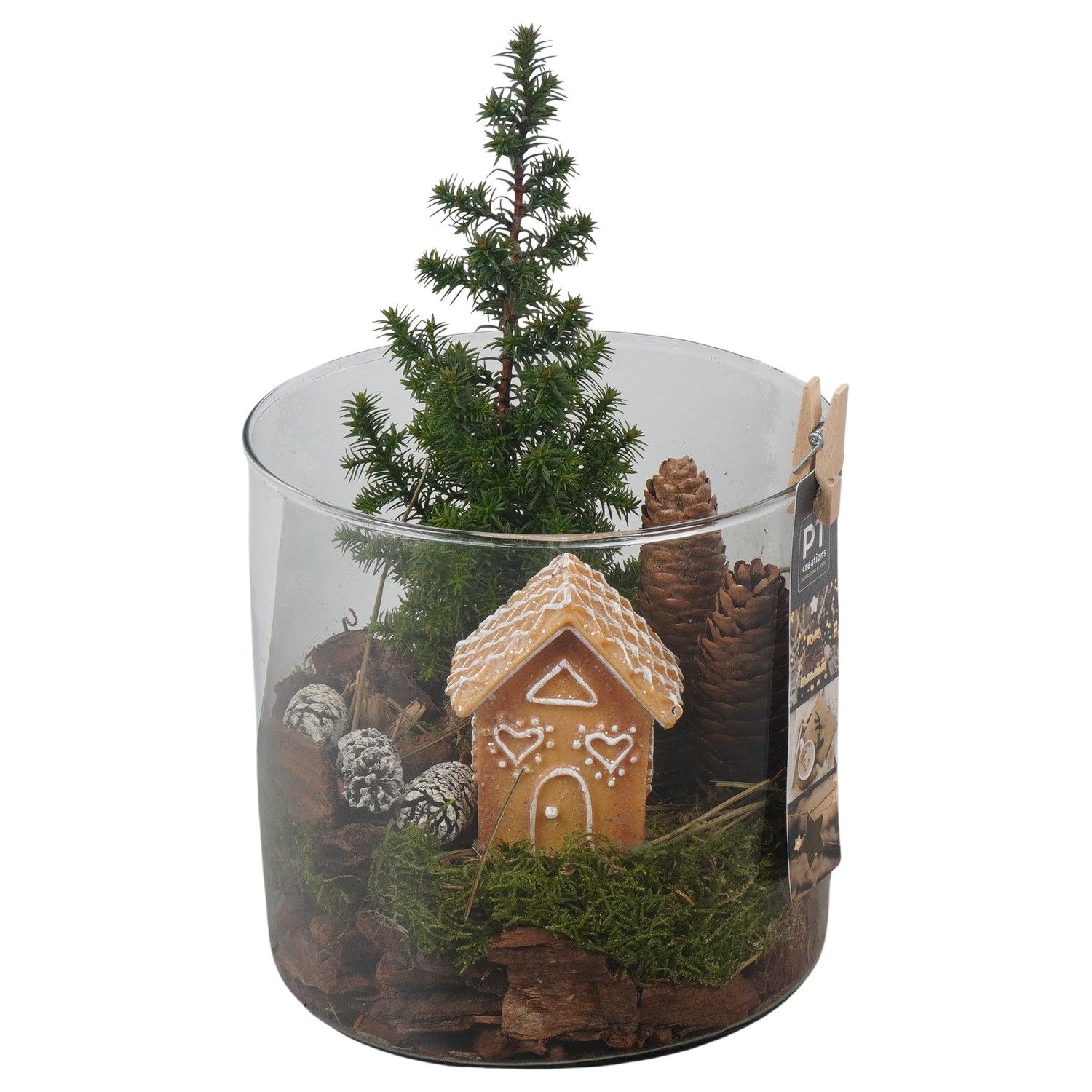 PTCWW6812 Arrangement Winter in glazen vaas, D 15 cm