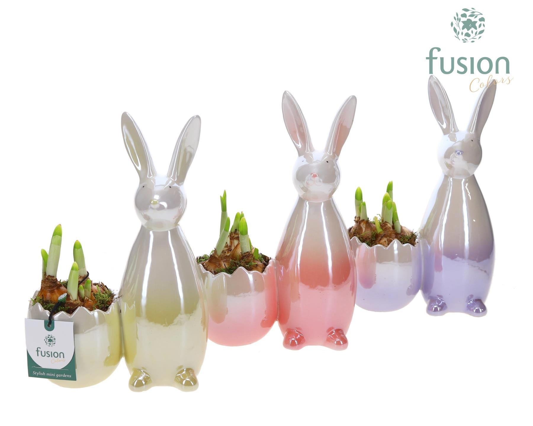 Pot keramiek Haas Pasen 3 kleuren Small met Narcis, D 17