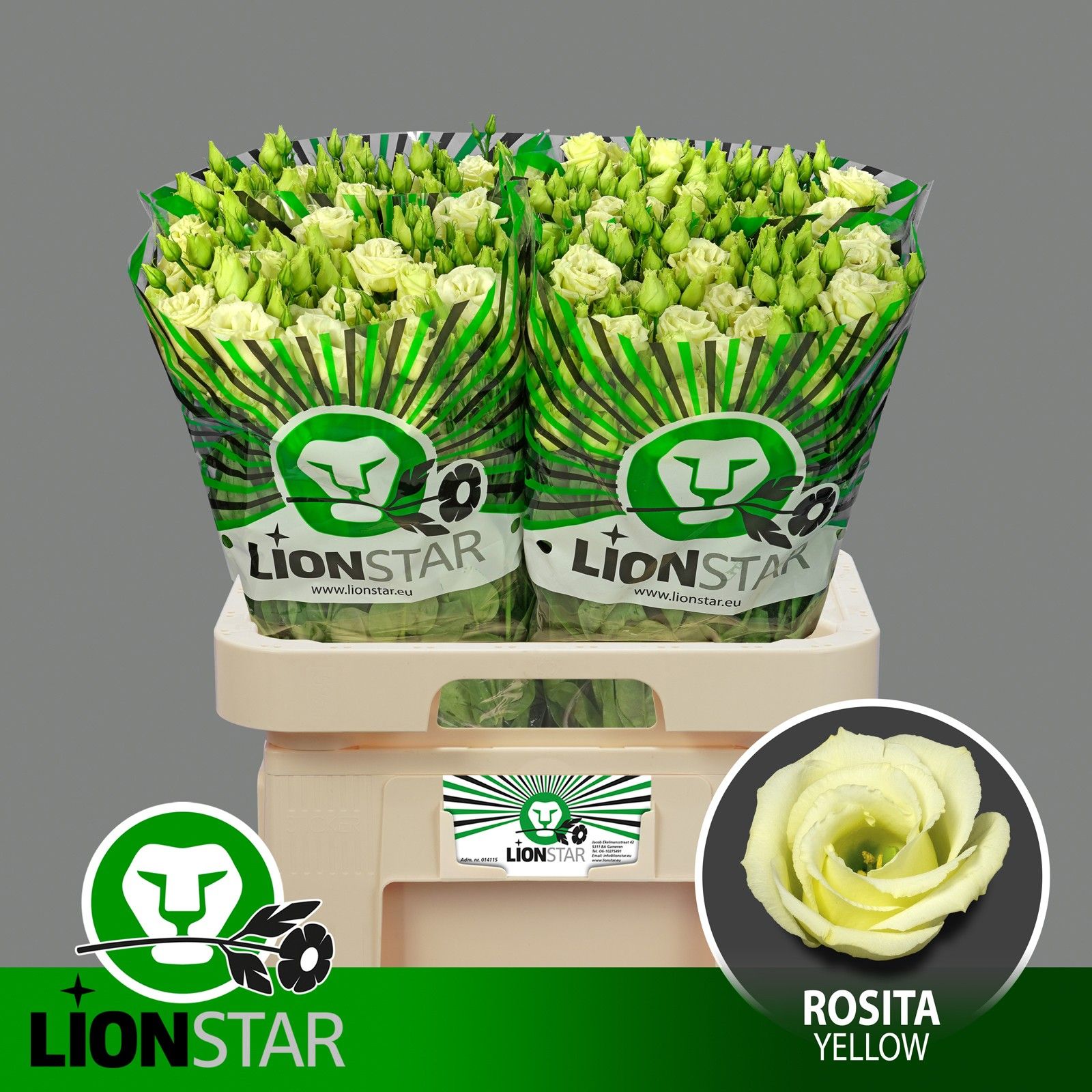 Эустома Розита Еллоу 70 (крем.), шт.