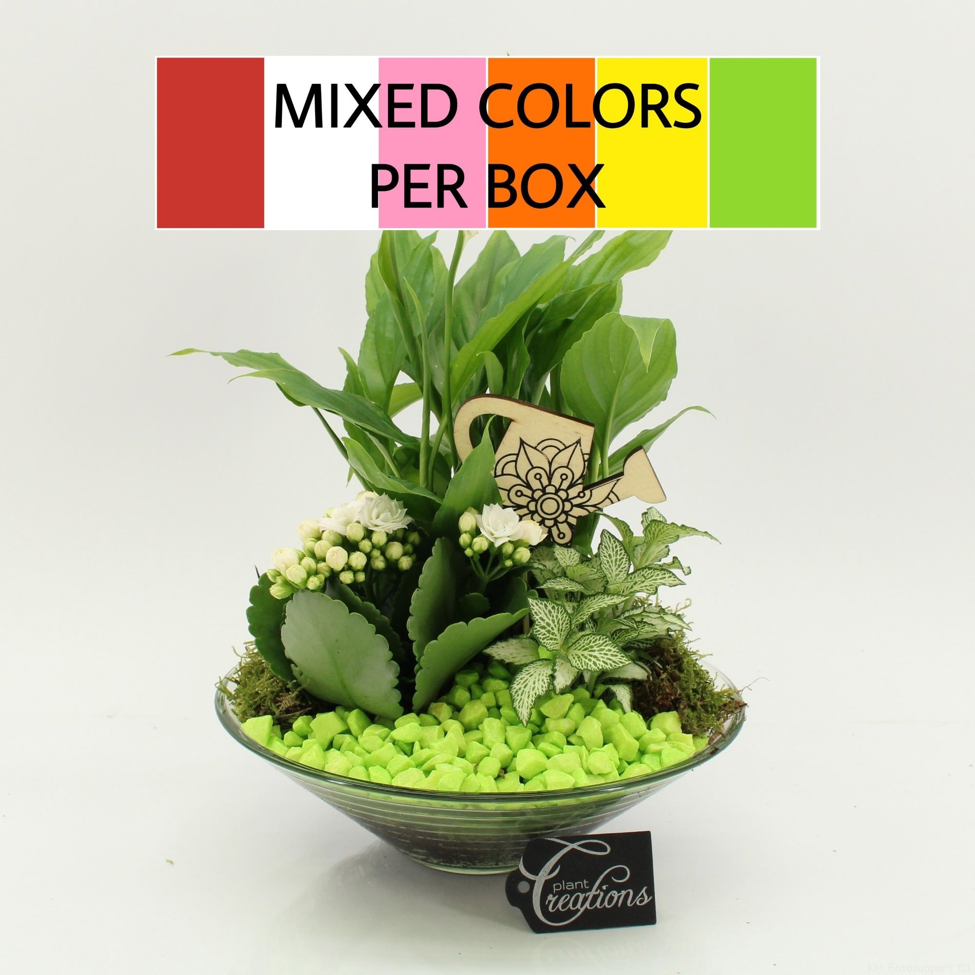 FDCR-2602M Basic Fundamentals, D 25