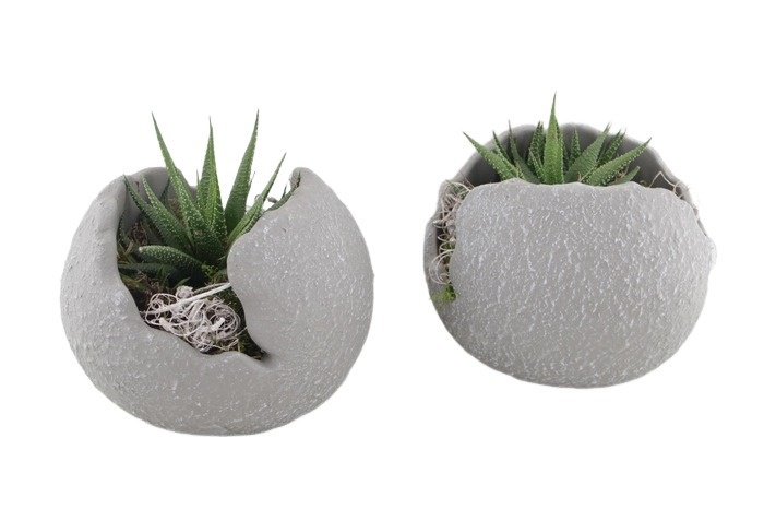 GG18HER Green Globe 18cm mini plantmix, D 18