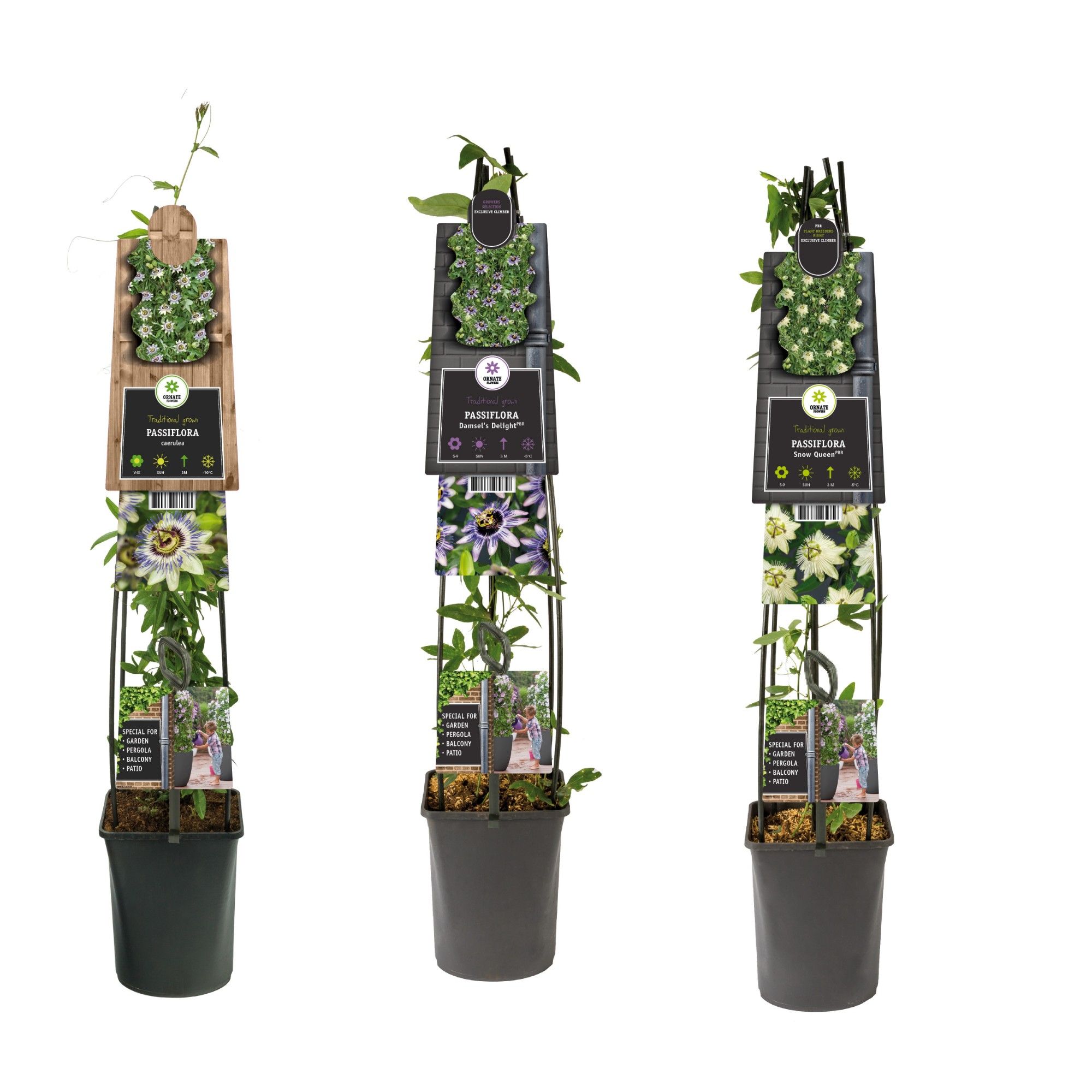 Mixshelf Passiflora +3.0 label, D 23 cm Mixshelf Passiflora +3.0 label, D 23 cm