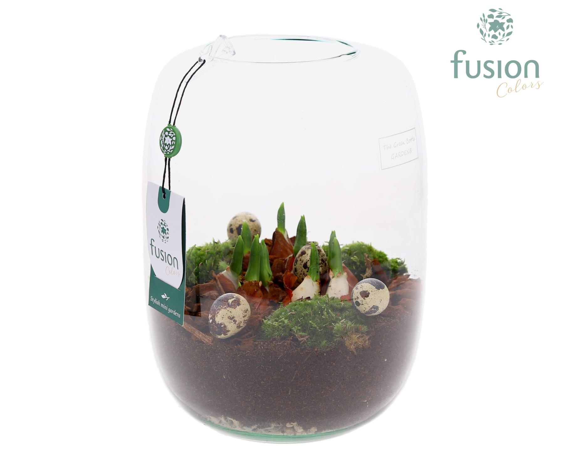 Green Bottle Isabella Large Pasen met Tulpen, D 19