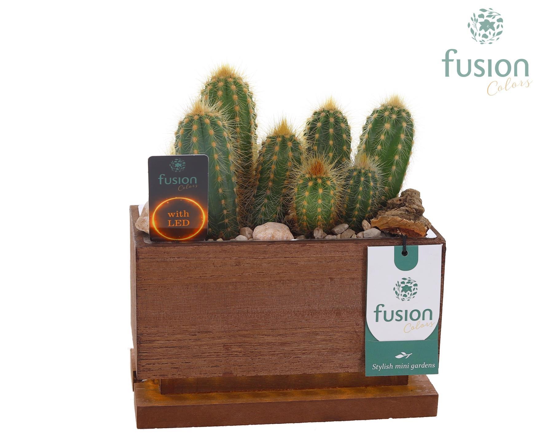 The Green Lighting Garden LED Small lang met Cactus, D 19