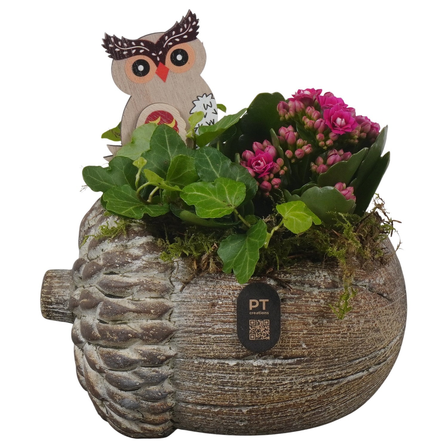 PTHI3271 Arrangement Autumn Indoor in beton pot in noot vorm, D 17