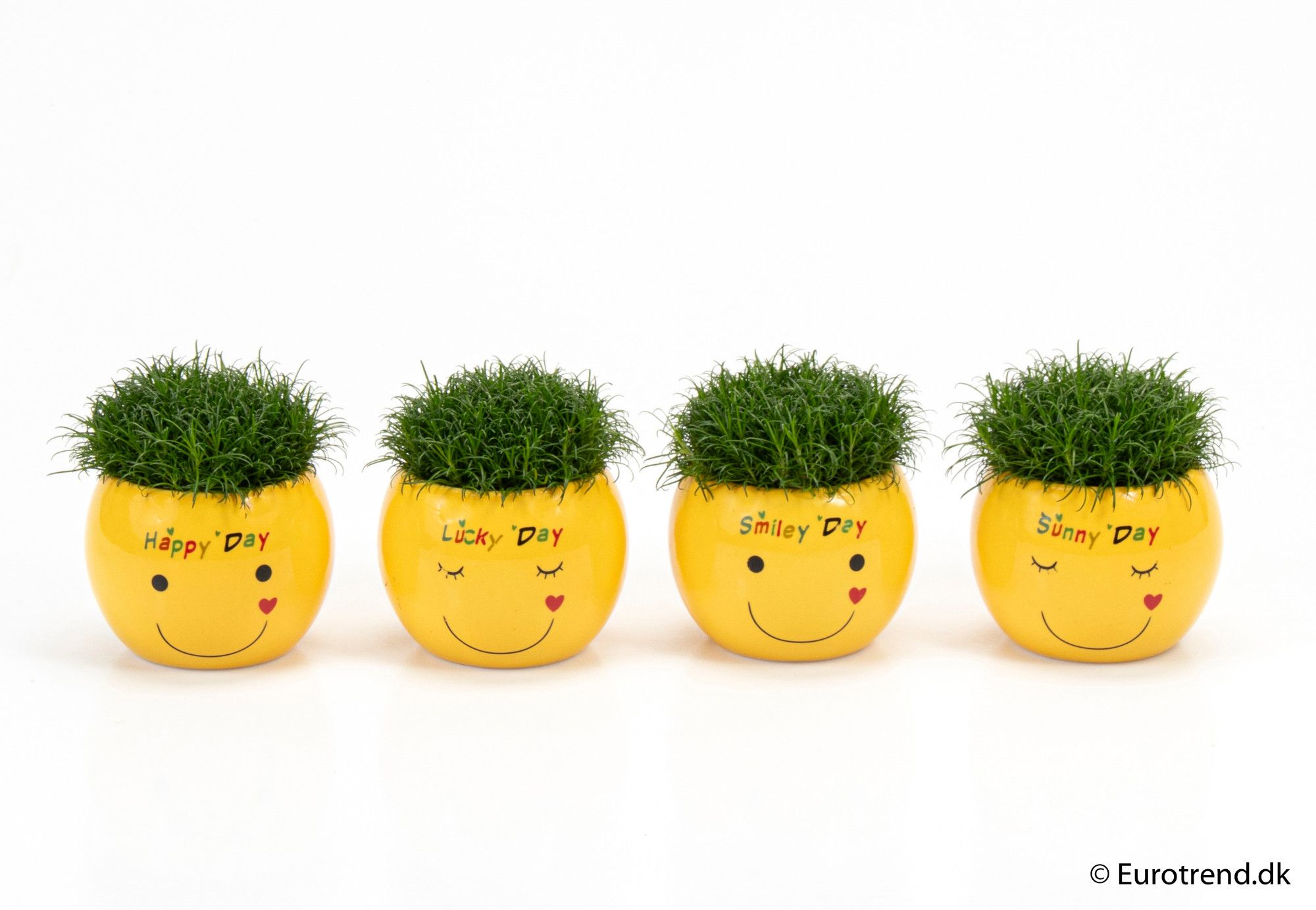 Sagina in "days" ceramic - Spring, Summer & Autumn 2025, D 6 cm Sagina in "days" ceramic - Spring, Summer & Autumn 2025, D 6 cm