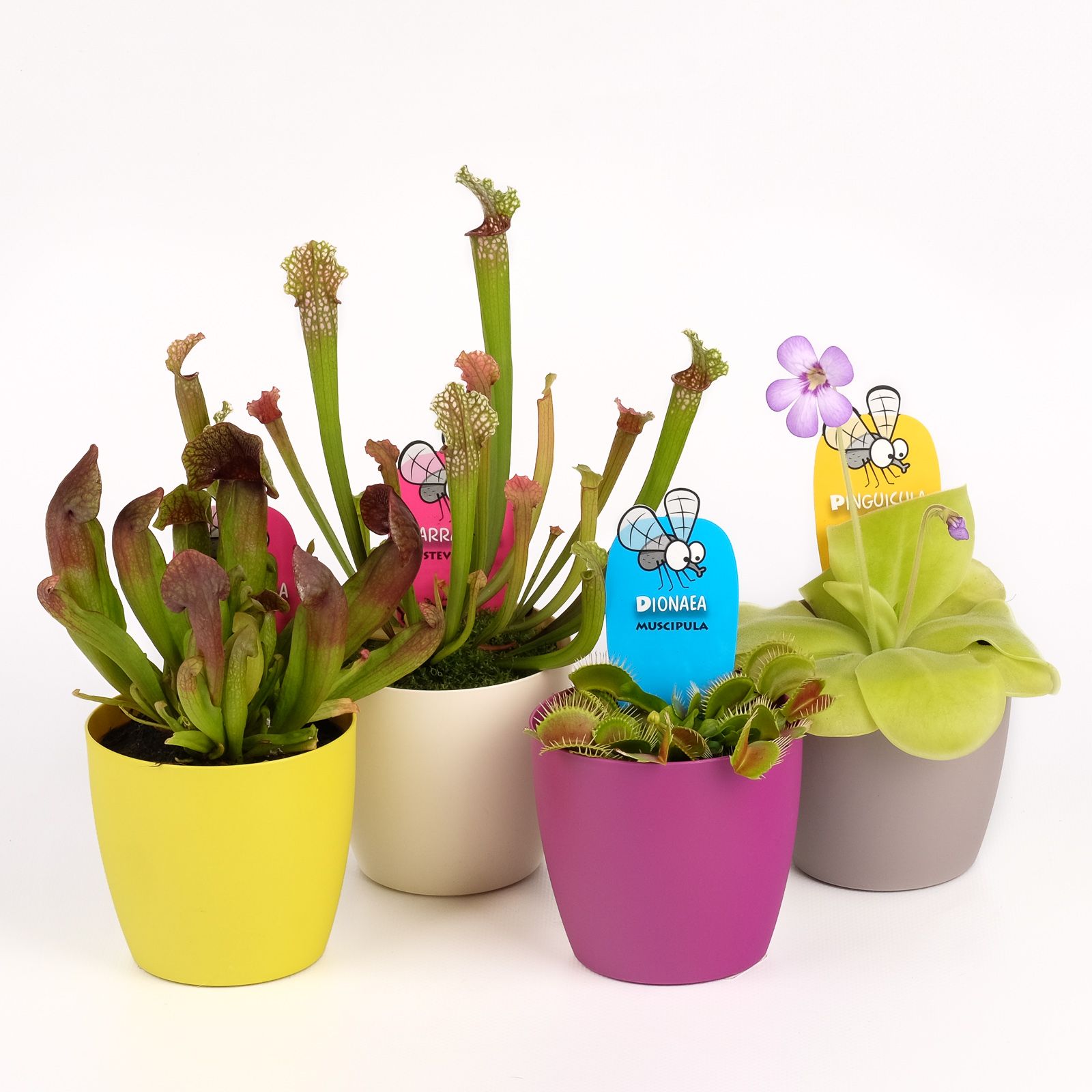 Vleesmix p9 in sierpot, D 8,5