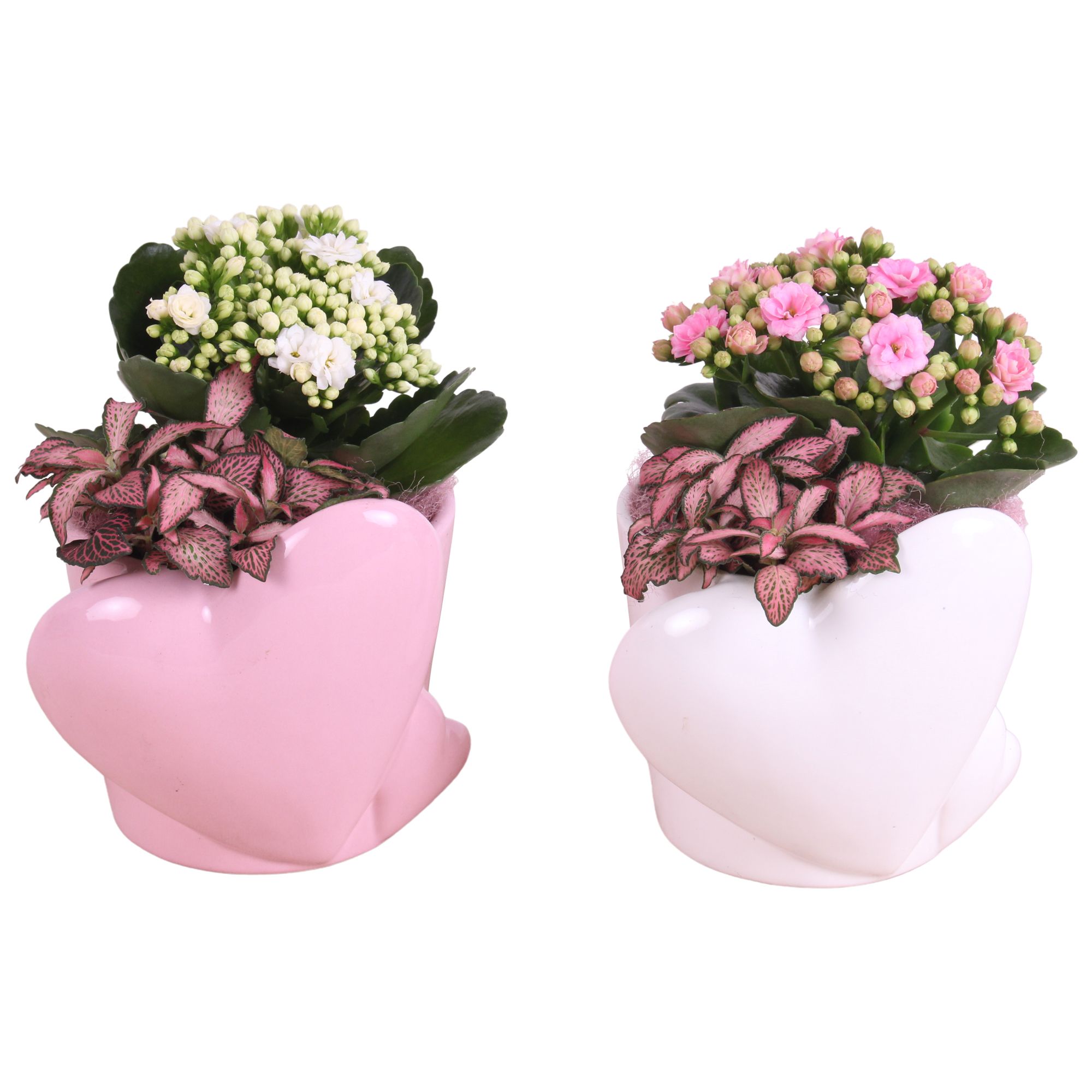 Mothersday Arr. Indoor Ceramic Heart Pot Pink/White Ø16cm 2PP, D 16