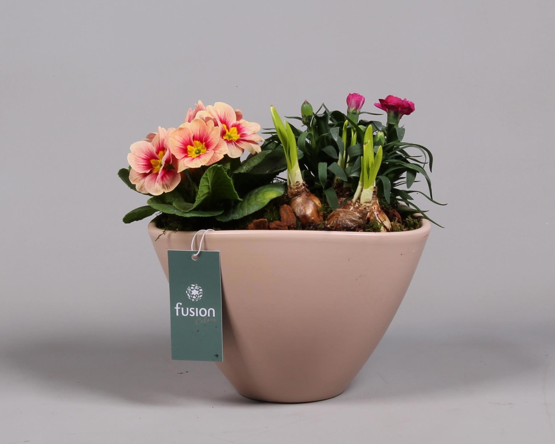 Keramiek pot met arrangement voorjaar, D 23