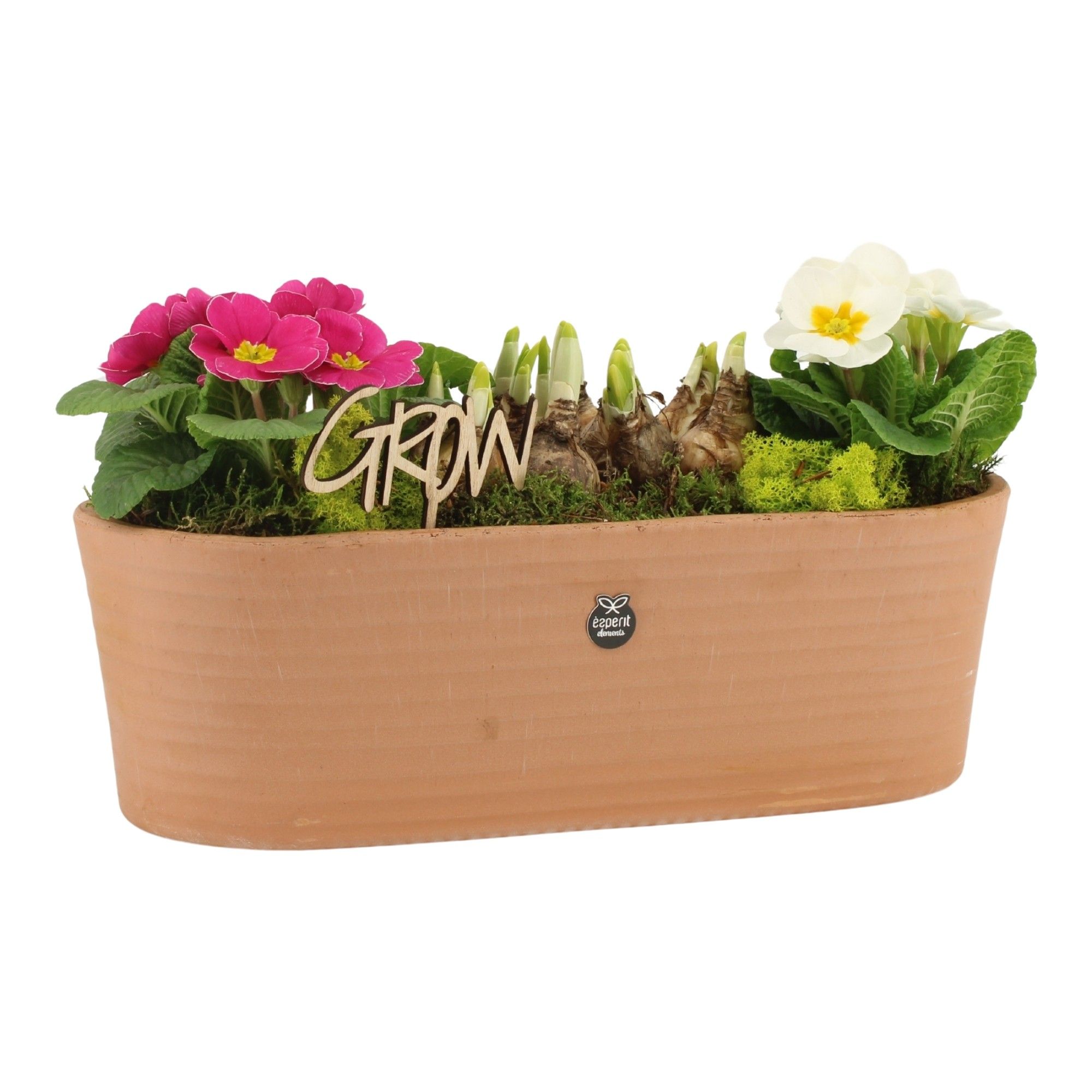 11443: Outdoor spring arrangement, D 38 cm