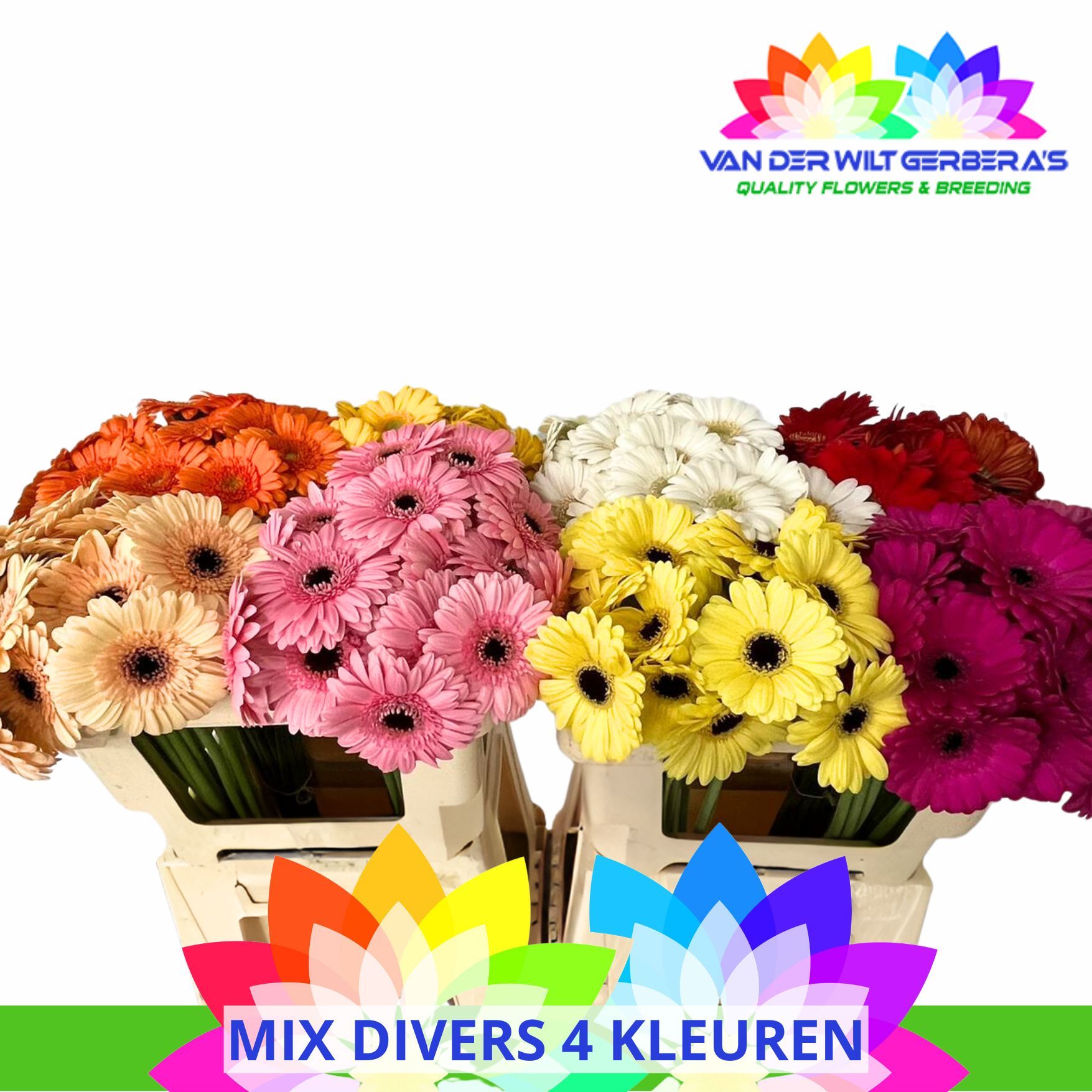 Гермини Микс, шт.