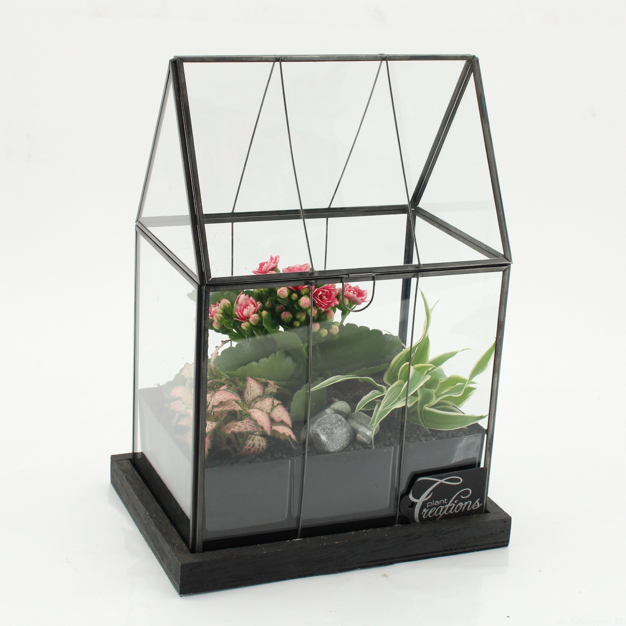ESCR-2629RZ Essentials terrarium, D 23